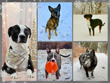 Load image into Gallery viewer, 2026 Rescue Express Calendar (Pre-Order)
