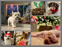 Load image into Gallery viewer, 2026 Rescue Express Calendar (Pre-Order)
