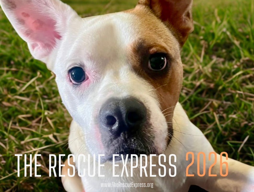 2026 Rescue Express Calendar (Pre-Order)