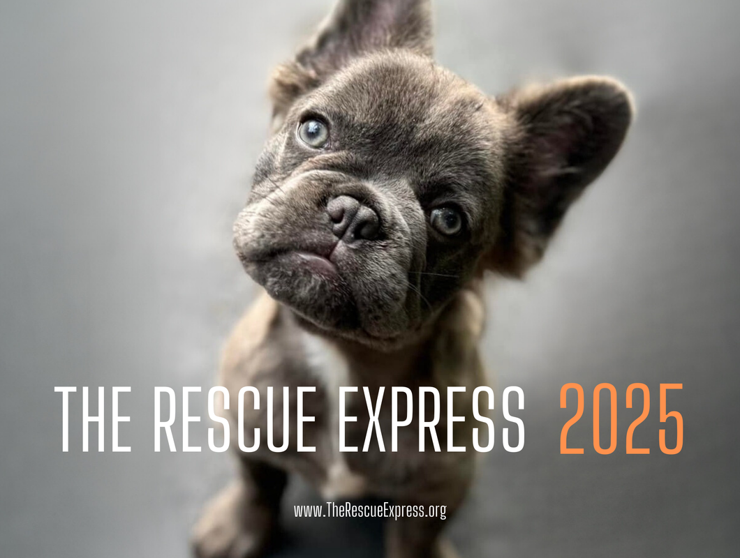 2025 Rescue Express Calendar (Pre-Order)